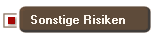 Sonstige Risiken