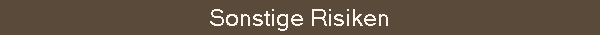 Sonstige Risiken