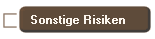 Sonstige Risiken